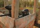 paintball pontault combault loisirs prod parc loisirs prod 77 1h30 300 billes
