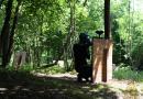 paintball guerard paintball one forfait 100 billes