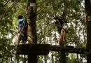 accrobranche trappes en yvelines branches et loisirs 3h 5 parcours aventure
