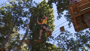 accrobranche cergy xtrem aventures 2h 11 parcours aventure