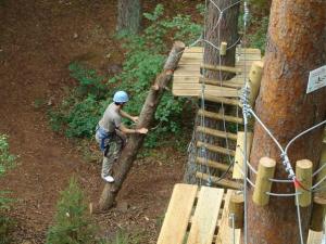 accrobranche milly la foret atout branches 9 parcours aventure