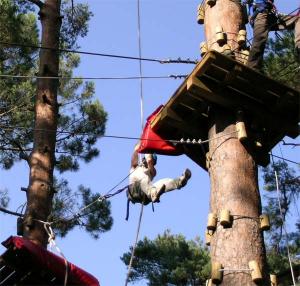 accrobranche milly la foret atout branches grimpe d arbre