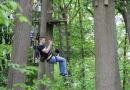 accrobranche viarmes sherwood parc pack arbo 2h30 plus de 30 parcours