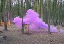 paintball belloy en france paintball vibration 1h 100 billes