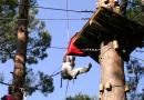 accrobranche milly la foret atout branches grimpe d arbre